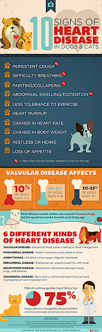 10 signs of heart disease graphic