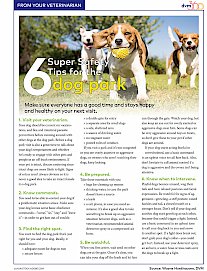 6 super safety tips for the dog park