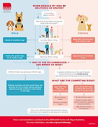 Graphic: Why Spay/Neuter