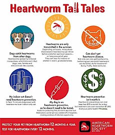 Heartworm Tall Tales graphic