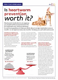 Is heart worm prevention worth it graphic